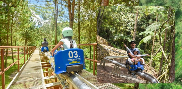 Dahilayan Adventure Park (Manolo Fortich) photo