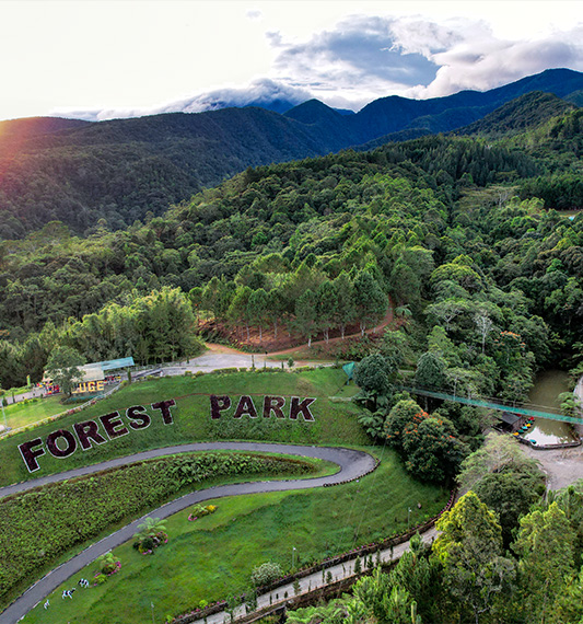 Dahilayan Adventure Park (Manolo Fortich) photo