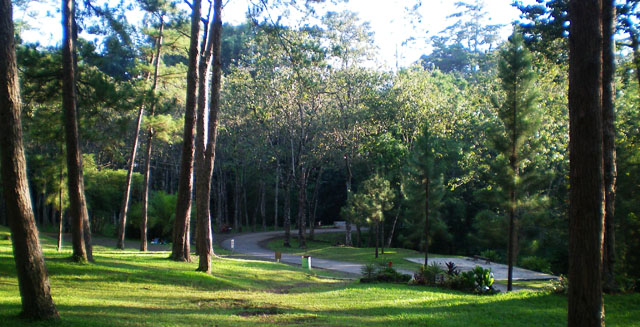 Kaamulan Park (Malaybalay) photo